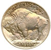 buffalo coin
